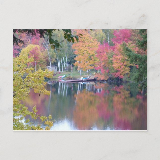 Carte Postale Feuille coloré par automne (Devant)
