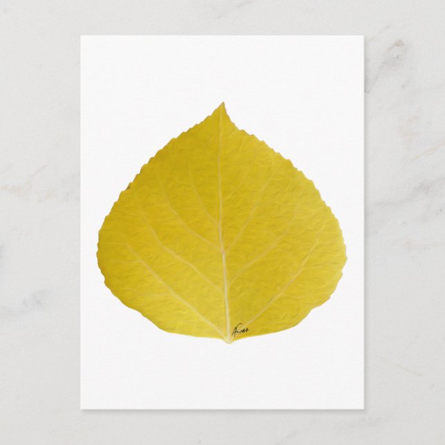 Carte Postale Feuille d'Aspen jaune #5 (Devant)
