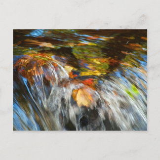 Carte postale Feuille de chute d'eau