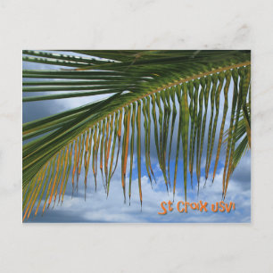 Carte Postale Feuille de palmier