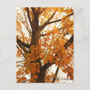 Carte postale Feuilles Automne