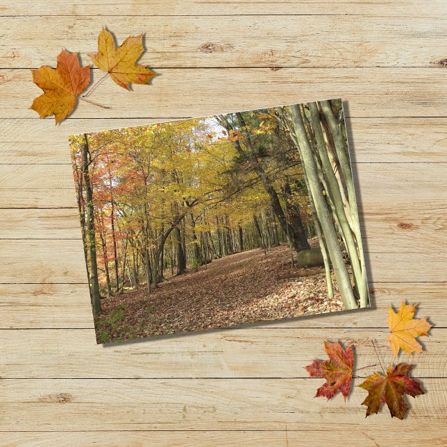 Carte Postale Feuilles Automne Feuillage Automne Vacances Photo (Créateur téléchargé)