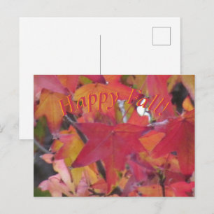 Carte Postale - Feuilles d'Automne