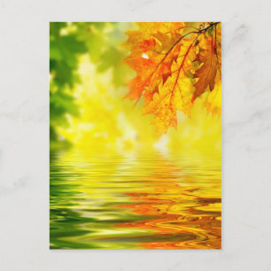 Carte Postale Feuilles d'automne colorées se reflétant dans l'ea