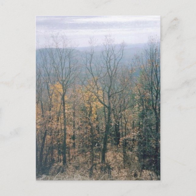 Carte Postale Feuilles d'automne - Géorgie (Devant)