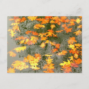 Carte Postale Feuilles d'automne sous la pluie