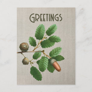 Carte Postale Feuilles de chêne Acorn