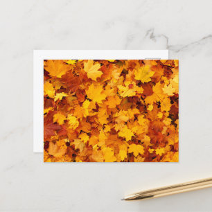 Carte Postale Feuilles de l'érable d'automne