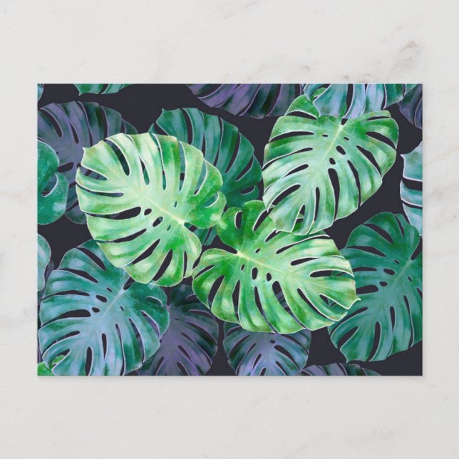 Carte Postale Feuilles de Monstera Tropical (Devant)