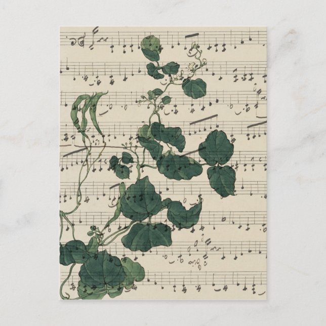 Carte Postale Feuilles de musique vintage (Devant)