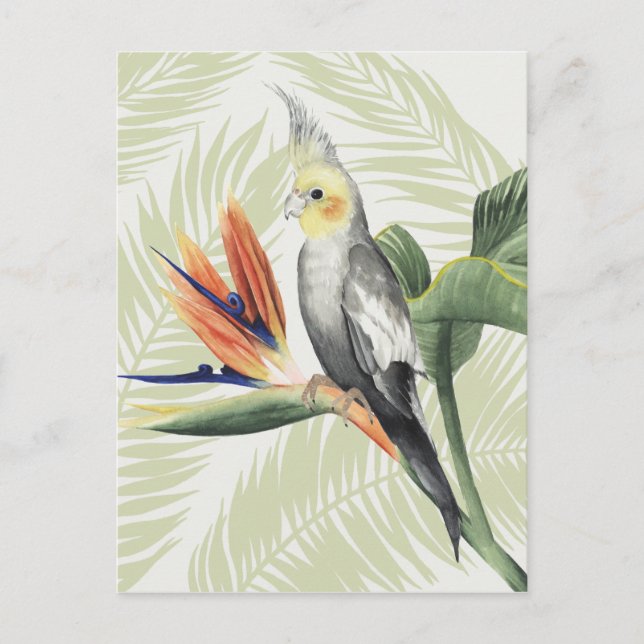 Carte Postale Feuilles de palmiers à oiseaux noirs (Devant)