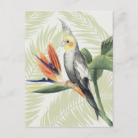 Feuilles de palmiers à oiseaux noirs