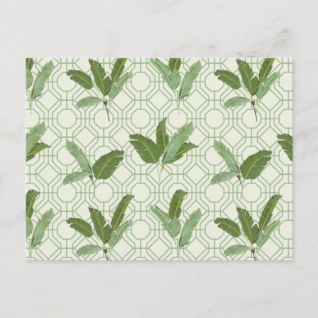 Carte Postale Feuilles de palmiers tropicaux (Devant)