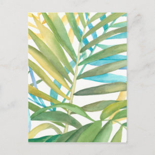 Carte Postale Feuilles de palmiers tropicaux