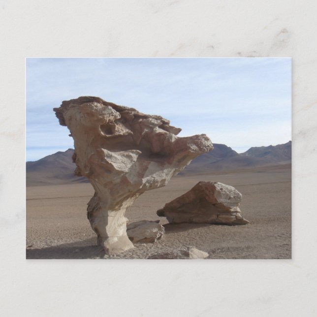 Carte Postale Feuilles De Pierre (Devant)