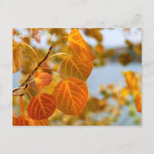 Carte Postale Feuilles en orange