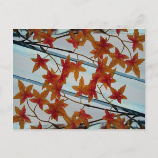 Carte Postale Feuilles en plastique et symétrie
