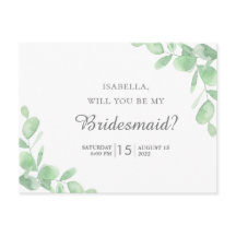 Feuilles eucalyptus. 