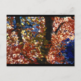Carte Postale Feuilles psychédéliques