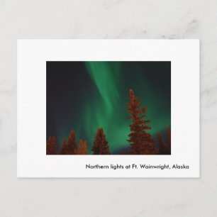Carte Postale Feux du nord à Ft. Wainwright, Northern lig...