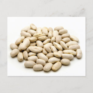 Carte Postale Fèves de Cannellini