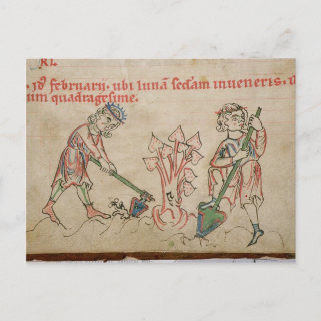 Carte Postale Février : hoeing (Devant)