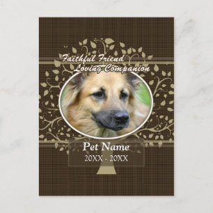 Carte Postale Fidèle Ami Personnalisé Animaux Sympathie