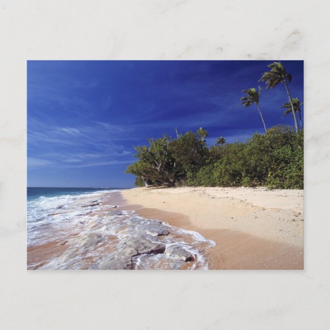 Carte Postale Fidji, Tavarua. Cette plage de Tavarua (Devant)