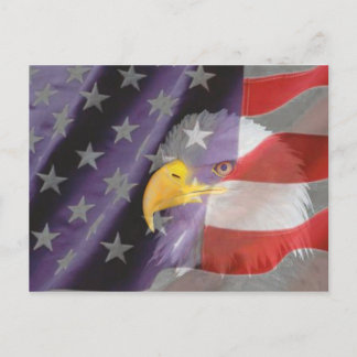 Carte postale Fier et Patriotique USA Bald Eagle