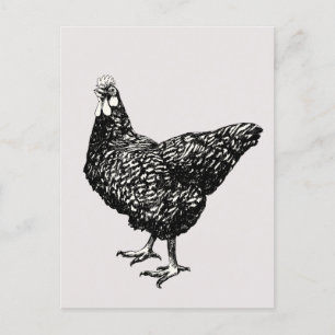 Carte Postale Fière petite poule !