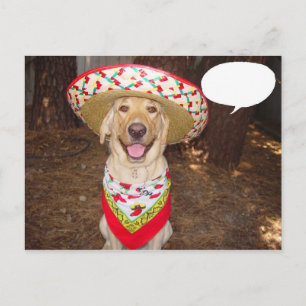Carte Postale Fiesta Moses
