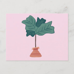 Carte Postale Fig Arbre Fig vert Potté Plante rose