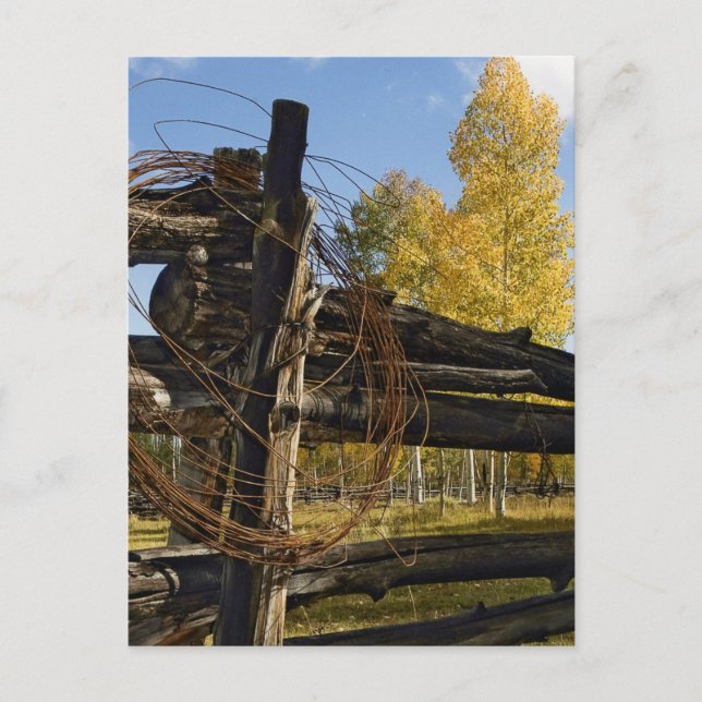 Carte Postale Fil Barbe (Devant)