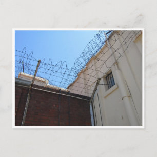 Carte Postale fil barbelé