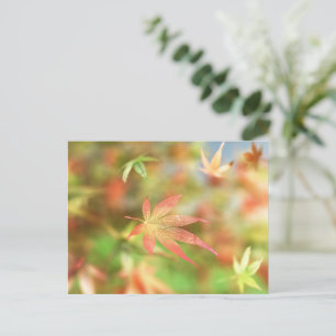 Carte postale Filigree Automne