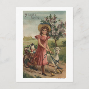 Carte Postale Fille Agneau de marche, poussin et coq