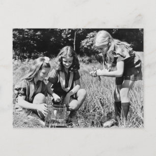 Carte Postale Filles collectionnant des grenouilles, années 1940
