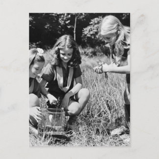 Carte Postale Filles ramassant des grenouilles, années 1940