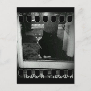 Carte Postale Film Strip Lucy