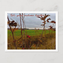 Fin d'automne maussade : cynorhodons et champ vert