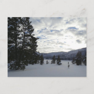 Carte Postale Fin d'une journée de neige dans le parc national d