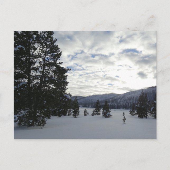 Carte Postale Fin d'une journée de neige dans le parc national d (Devant)