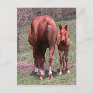 Carte Postale Fin et début