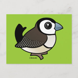Carte Postale Finch à deux barres