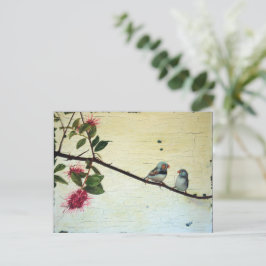 Carte Postale Finch Conversation Postcard