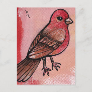 Carte Postale Finch Maison