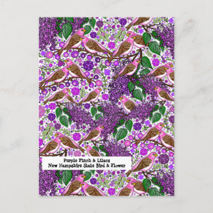 Carte Postale Finches pourpres, Lilacs - NH State Bird and Flowe