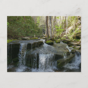 Carte Postale Findlay Falls I