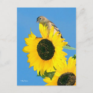 Carte Postale Finition et fleurs