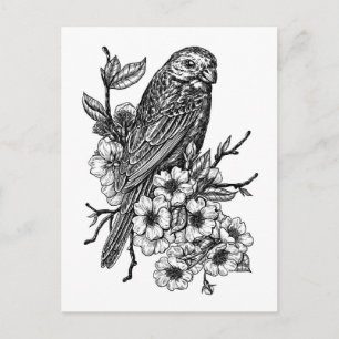 Carte Postale Finition sur branche cerise